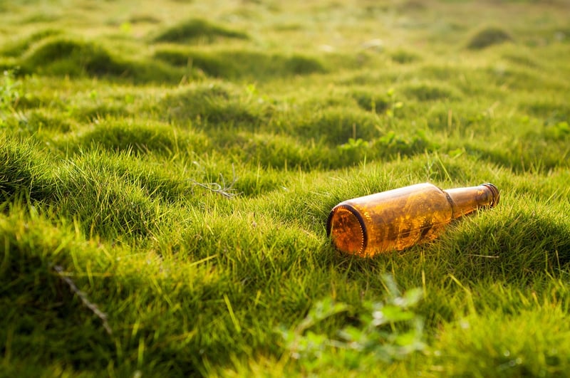 Repurposed Bottle Planters
